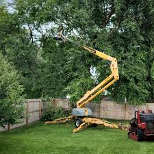 Best Sod Installation  in Mount Holly, NC